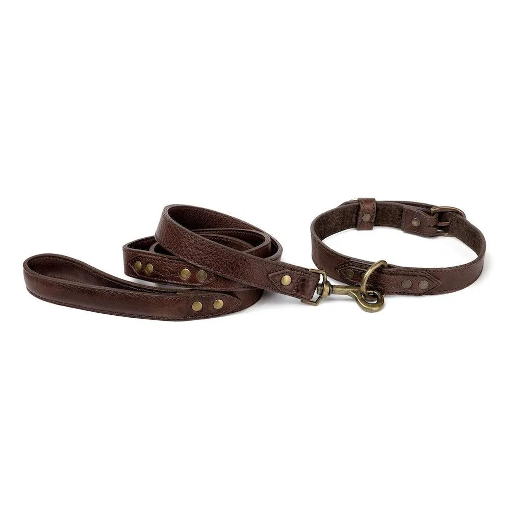 Campaign Leather Dog Leash