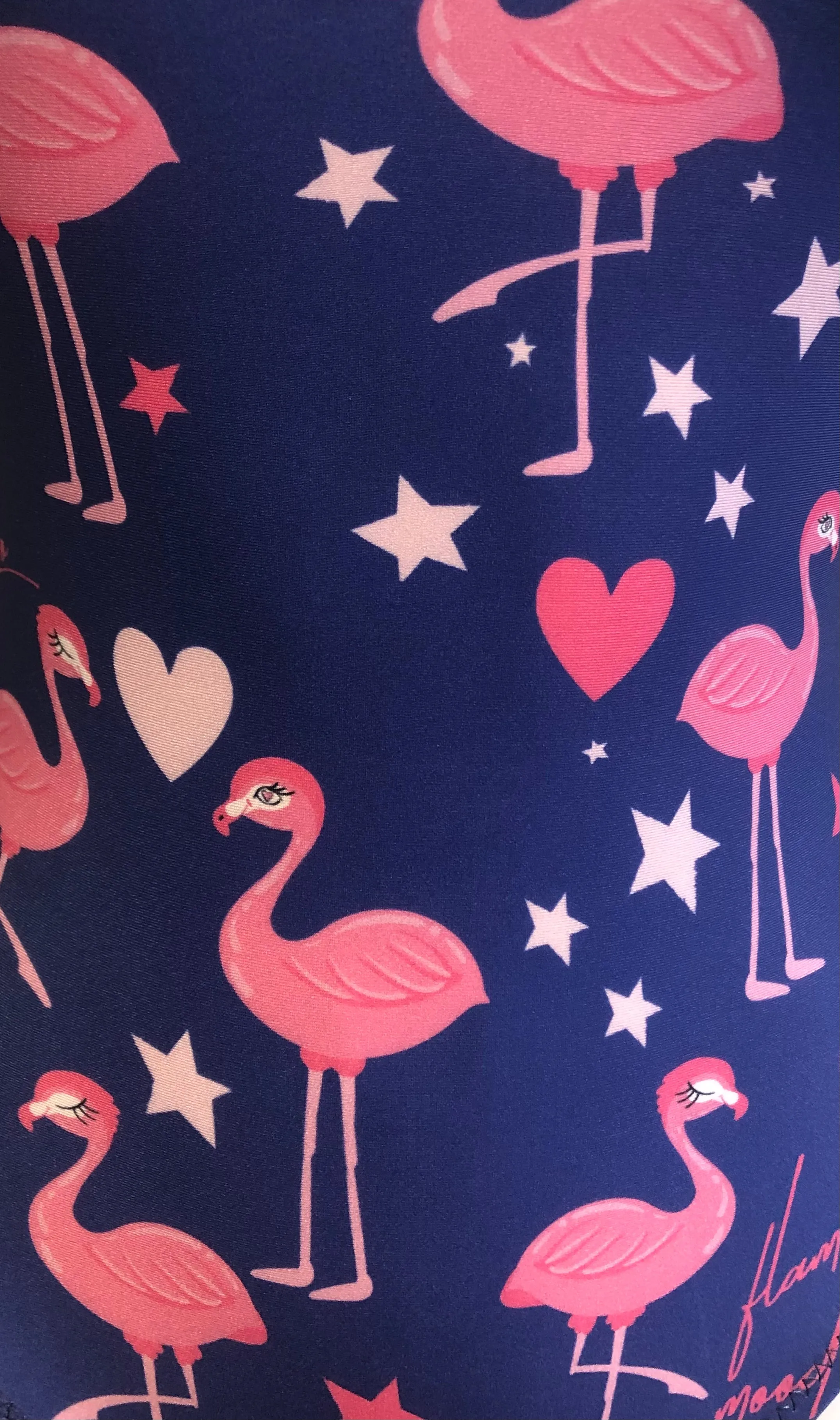 Flamingo Mood Leotard